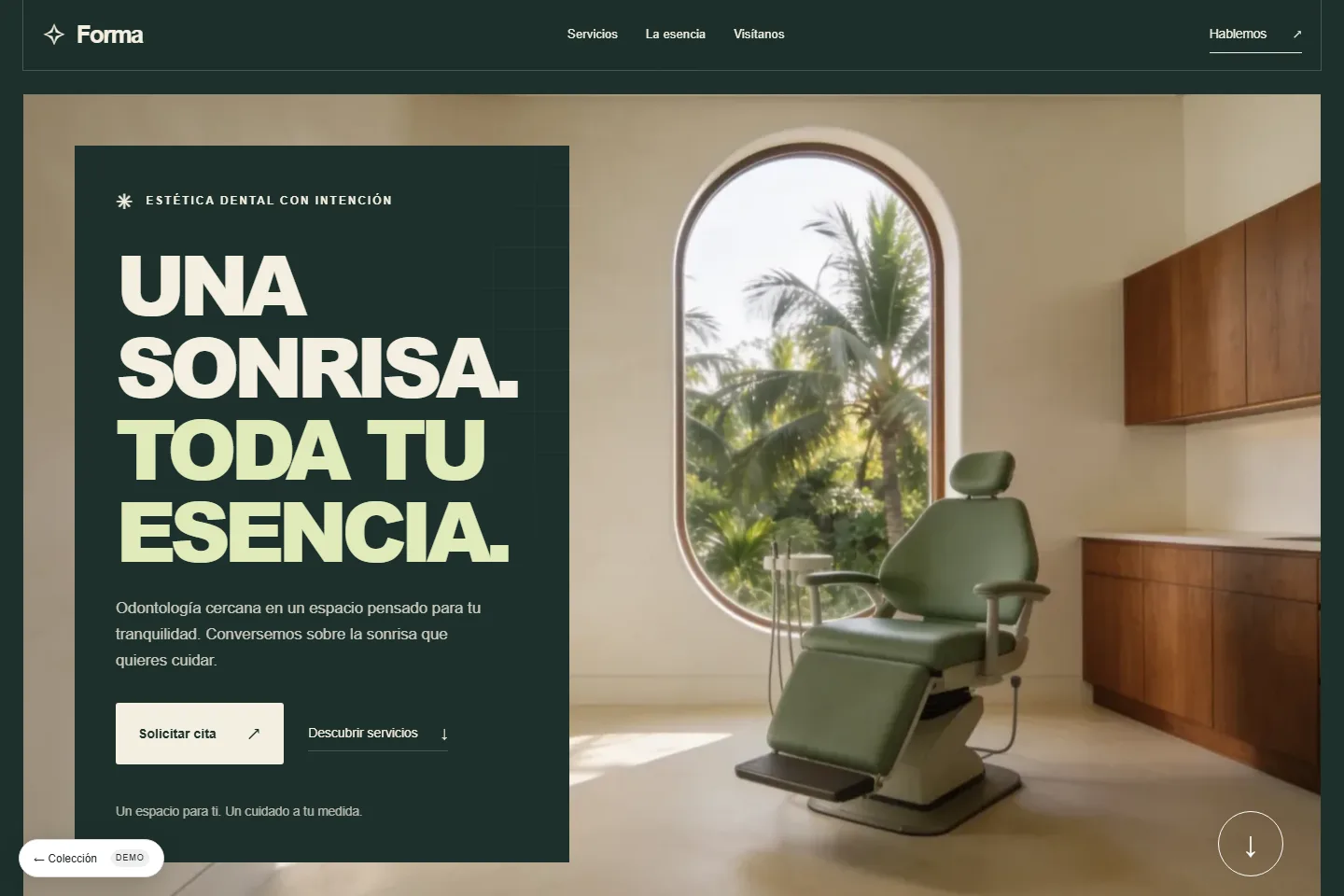 Diseño de sitio web para consultorio dental: Forma, estudio de la sonrisa