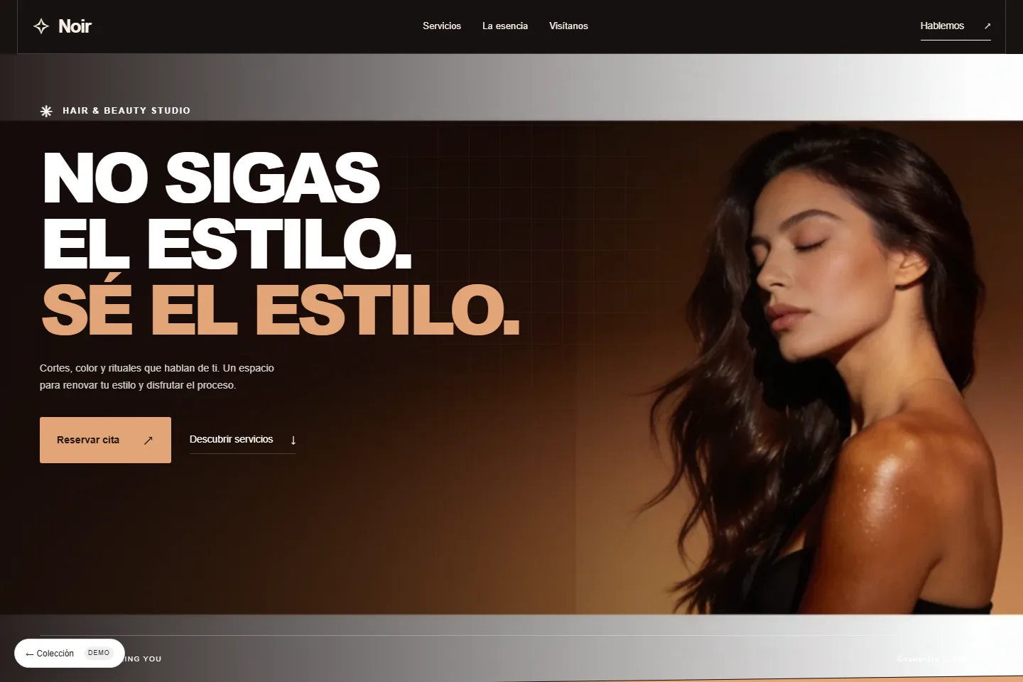 Diseño de sitio web para salón de belleza: Noir, beauty, after ordinary