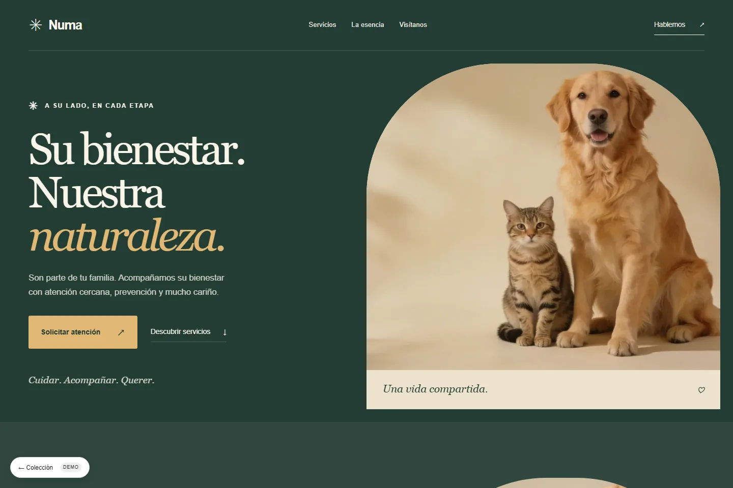 Diseño de sitio web para veterinaria: Numa, animal wellness