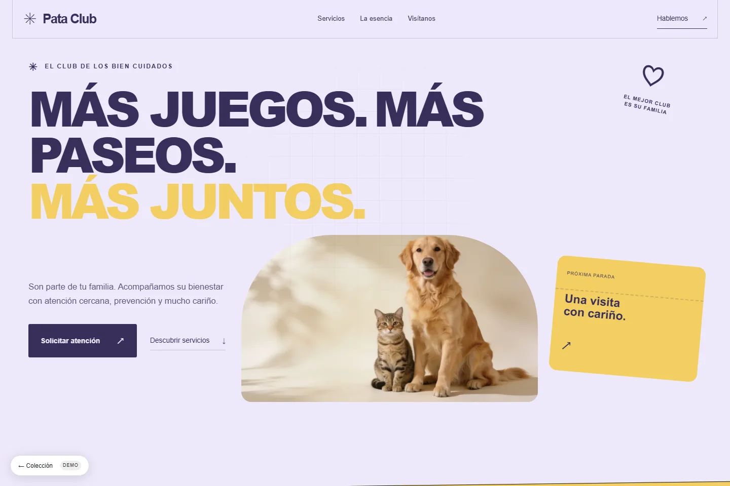 Diseño de sitio web para veterinaria: Pata Club, una vida juntos